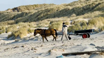 Jutten-terschelling-