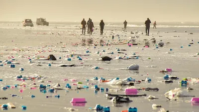 Jutten-terschelling-