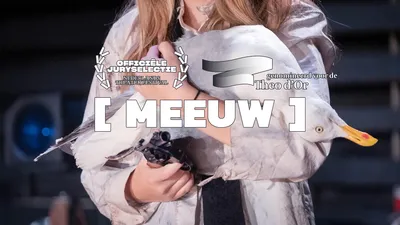 [meeuw]   september